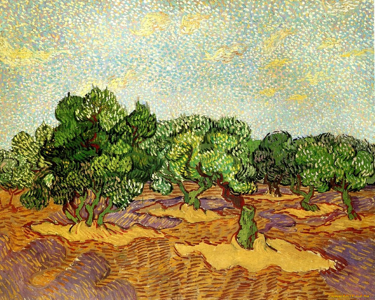 olive, grove, pale, blue, sky, , vincent, van, gogh